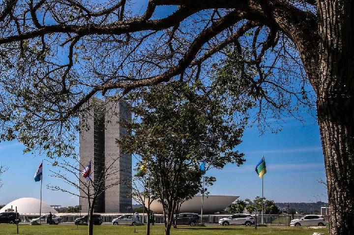 Congresso aumenta punição a crimes sexuais online contra crianças  