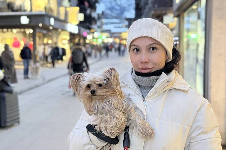 Empresa brasileira já embarcou 15 mil pets ao exterior