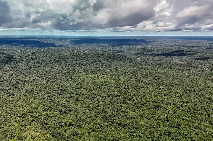 Fazenda autoriza crédito de US$ 1 bilhão do BID para Eco Invest Brasil