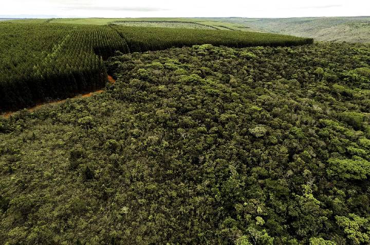 Setores produtivos ampliam ações ambientais em Minas Gerais
