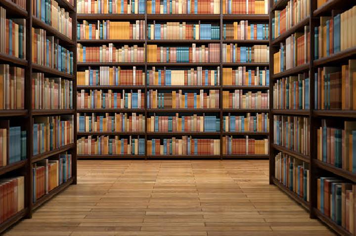 Telos Editora amplia catálogo com livros de Rocio Bonilla