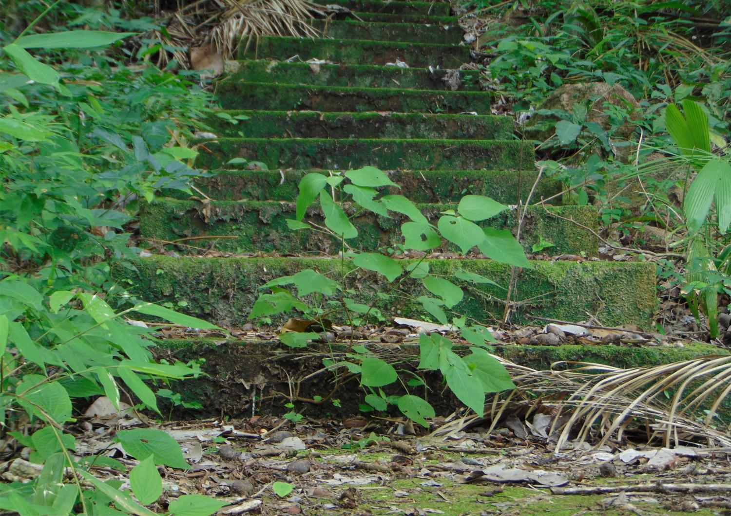 Escadaria do Morro de São Sebastião, uma história que resiste ao tempo.