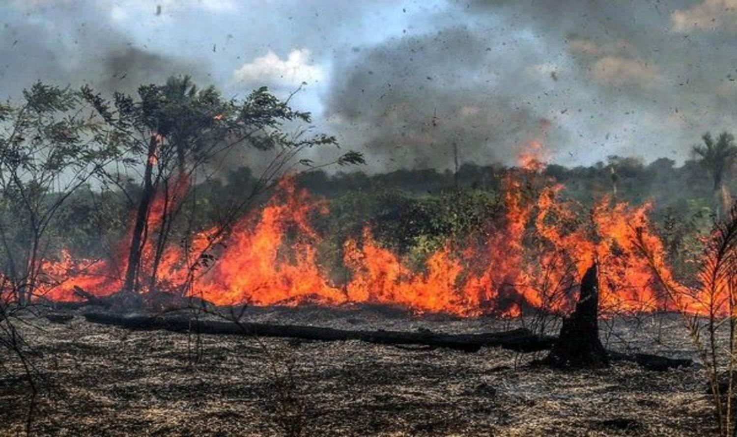Sedam antecipa conscientização ao combate as queimadas no município de Costa Marques.
