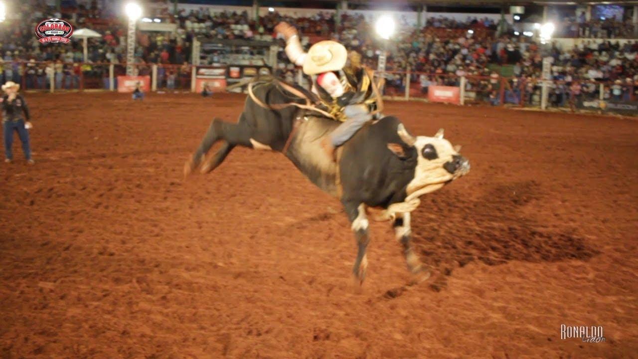 Após 2 anos de pandemia volta dos rodeios já é sinalizado em Rondônia e Amazonas.