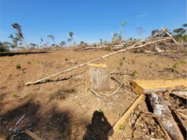 Crime ambiental gera multa de mais de 1 milhão de reais para infrator no Vale do Guaporé