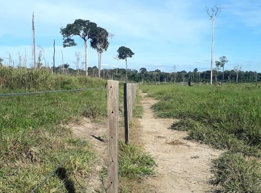 Fazenda em São Domingos firma TAC perante MPT para se abster de contratar menores de 18 para tarefas vedadas em Lista TIP