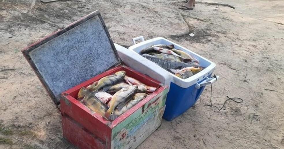 Mais de 86 quilos de peixe são apreendidos em Costa Marques pela Polícia Militar Ambiental durante este final de semana..