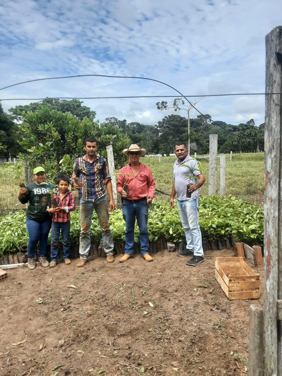 Prefeitura de Costa Marques e Emater inicia a distribuição de mudas de café clonal para produtores rurais em Costa Marques.