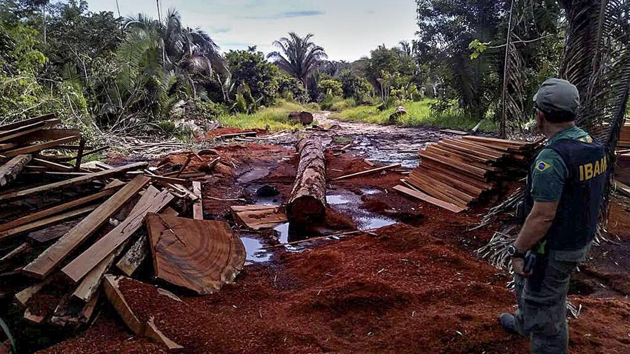 Costa Marques ocupa a primeira posição de desmatamento em Rondônia.