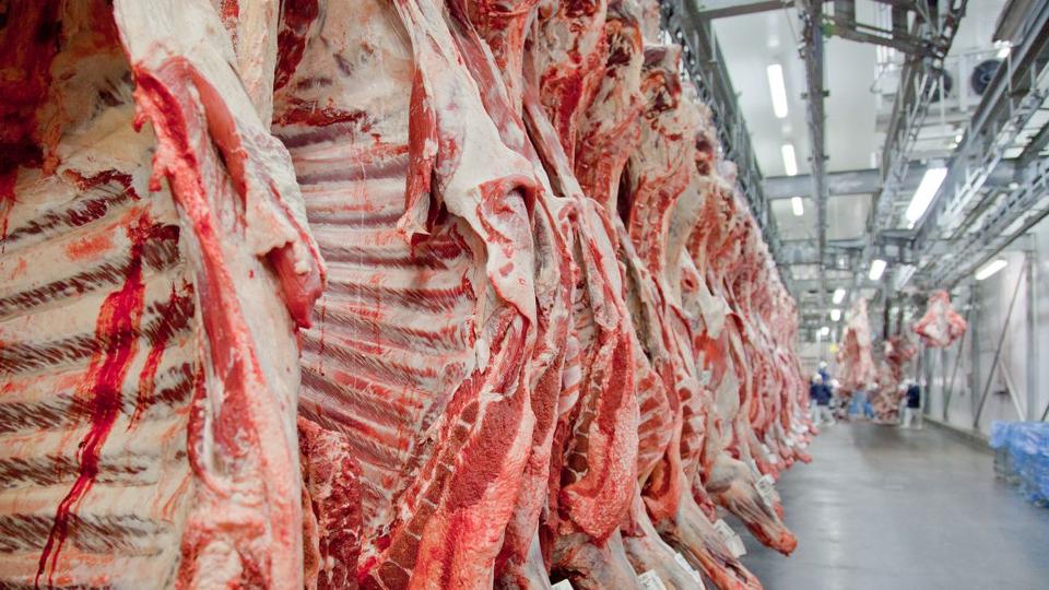 Rondônia tem quatro frigoríficos habilitados para exportar carne bovina para o México