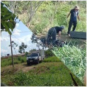 Mulher encontra corpo em fundiária de seu terreno