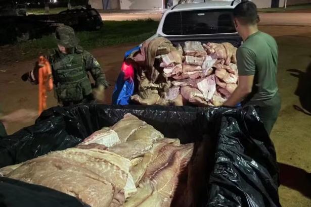 Comerciante é preso por transporte ilegal de pirarucu próximo ao distrito de São Domingos do Guaporé