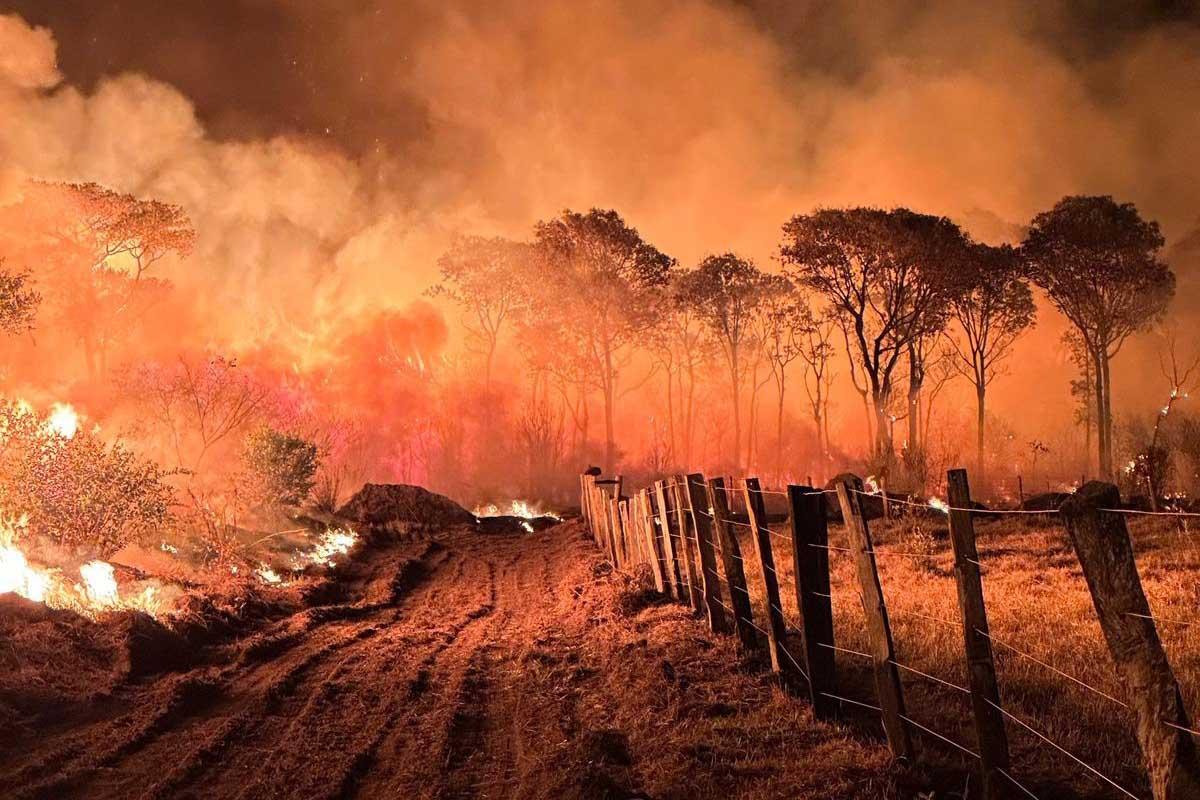 Intensificação dos incêndios na Amazônia e Pantanal agrava qualidade do ar em dez estados