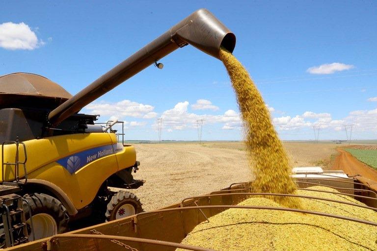 Safra de 2024/2025 deve bater recorde apesar da seca, prevê Conab