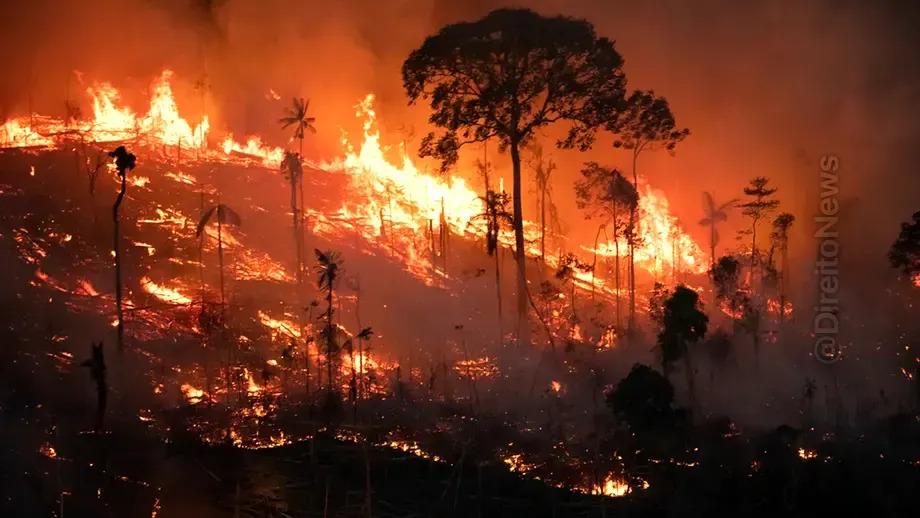 Advogado é multado em R$ 50 milhões por incêndio recorde no pantanal