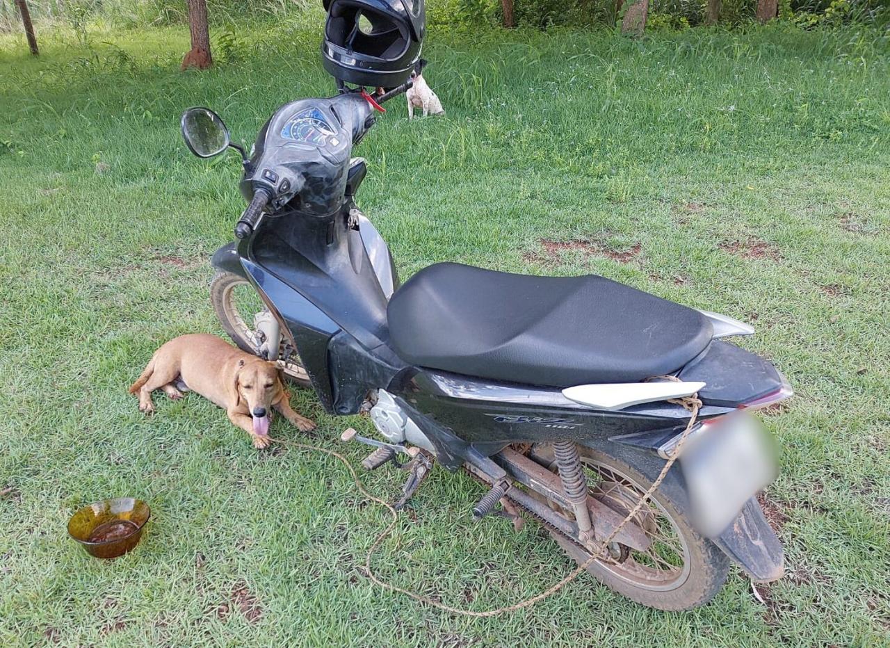 Homem é multado e preso por arrastar cachorro amarrado a motocicleta na RO-257
