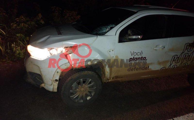 Veículo sofre avarias ao ser atingido por animal na pista em Costa Marques /RO.