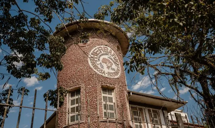 Pesquisa em herbário de SC descobre seis espécies de plantas